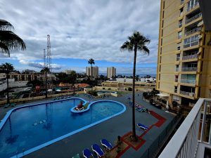 Palm Breeze