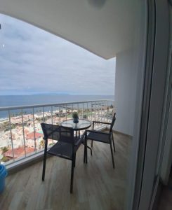 Pulse View